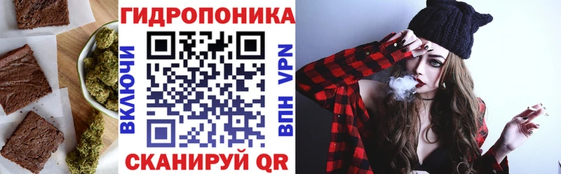 купить наркоту  Краснозаводск  Cannafood конопля 