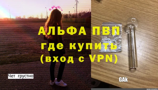 ГАЛЛЮЦИНОГЕННЫЕ ГРИБЫ Белоозёрский