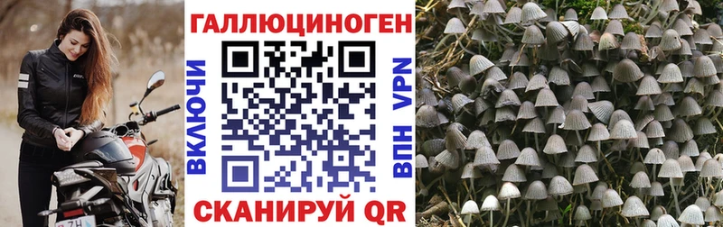 Галлюциногенные грибы мухоморы  Краснозаводск 